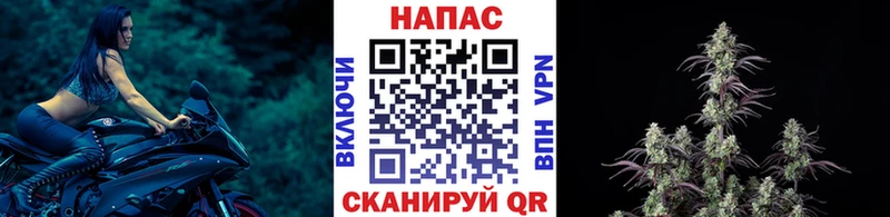 Купить где  Старый Оскол  Марихуана марихуана 